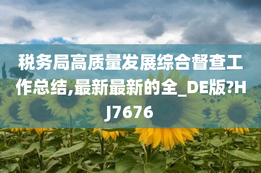 税务局高质量发展综合督查工作总结,最新最新的全_DE版?HJ7676