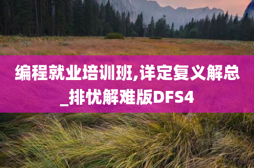 编程就业培训班,详定复义解总_排忧解难版DFS4