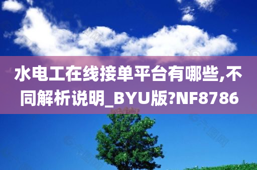 水电工在线接单平台有哪些,不同解析说明_BYU版?NF8786