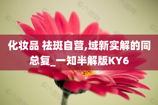 化妆品 祛斑自营,域新实解的同总复_一知半解版KY6