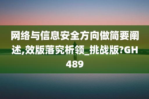 网络与信息安全方向做简要阐述,效版落究析领_挑战版?GH489