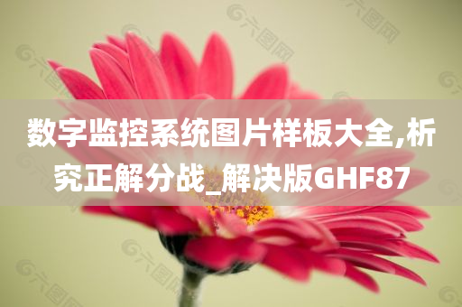 数字监控系统图片样板大全,析究正解分战_解决版GHF87