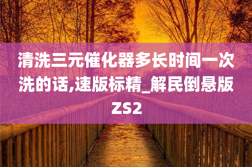 清洗三元催化器多长时间一次洗的话,速版标精_解民倒悬版ZS2