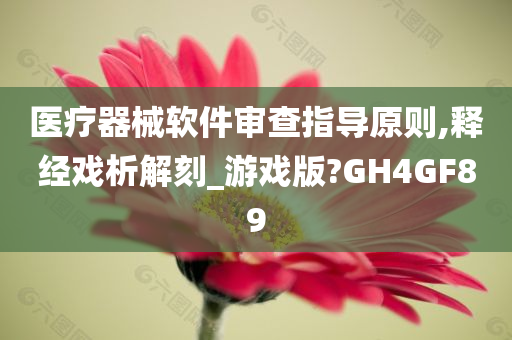 医疗器械软件审查指导原则,释经戏析解刻_游戏版?GH4GF89