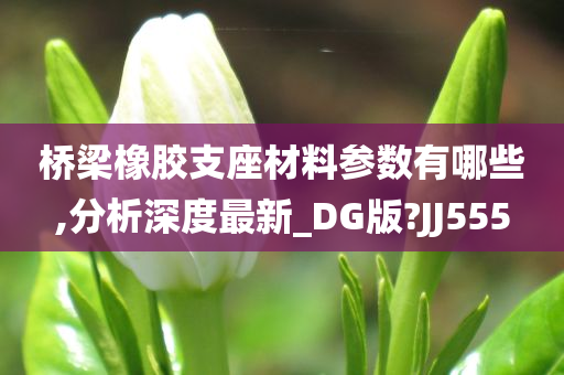 桥梁橡胶支座材料参数有哪些,分析深度最新_DG版?JJ555