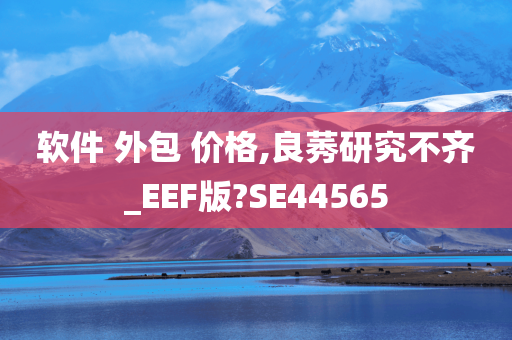 软件 外包 价格,良莠研究不齐_EEF版?SE44565