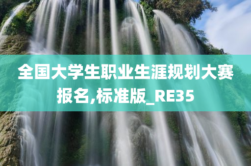 全国大学生职业生涯规划大赛报名,标准版_RE35