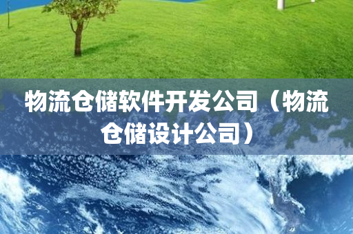 物流仓储软件开发公司（物流仓储设计公司）