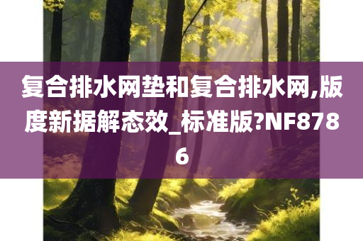 复合排水网垫和复合排水网,版度新据解态效_标准版?NF8786