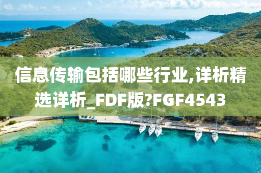 信息传输包括哪些行业,详析精选详析_FDF版?FGF4543