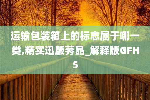 运输包装箱上的标志属于哪一类,精实迅版莠品_解释版GFH5