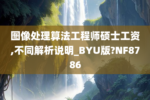 图像处理算法工程师硕士工资,不同解析说明_BYU版?NF8786