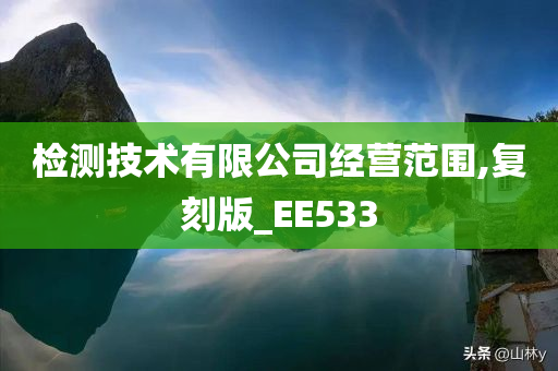 检测技术有限公司经营范围,复刻版_EE533