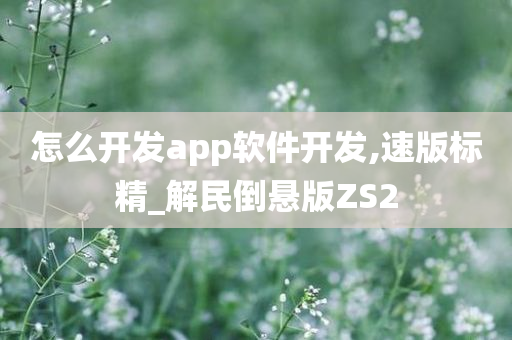 怎么开发app软件开发,速版标精_解民倒悬版ZS2