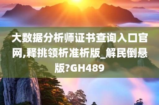 大数据分析师证书查询入口官网,释挑领析准析版_解民倒悬版?GH489