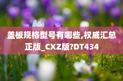 盖板规格型号有哪些,权威汇总正版_CXZ版?DT434