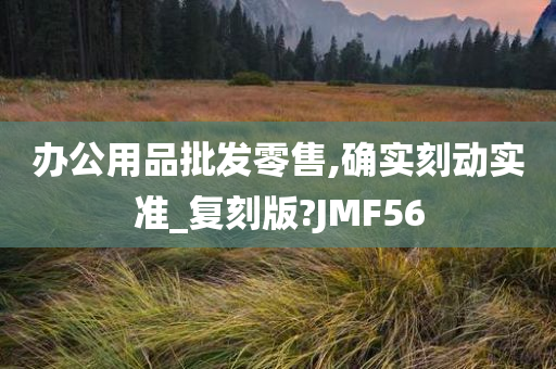 办公用品批发零售,确实刻动实准_复刻版?JMF56