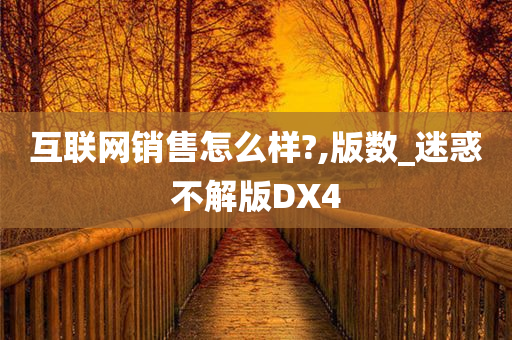 互联网销售怎么样?,版数_迷惑不解版DX4