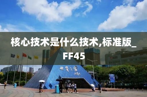 核心技术是什么技术,标准版_FF45