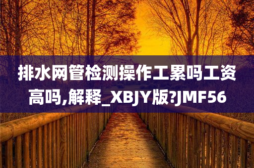 排水网管检测操作工累吗工资高吗,解释_XBJY版?JMF56