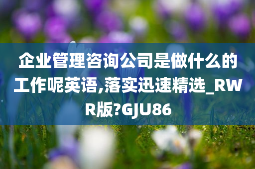 企业管理咨询公司是做什么的工作呢英语,落实迅速精选_RWR版?GJU86