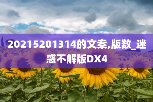 20215201314的文案,版数_迷惑不解版DX4