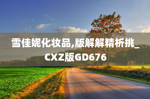 雪佳妮化妆品,版解解精析挑_CXZ版GD676