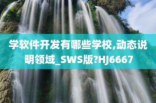 学软件开发有哪些学校,动态说明领域_SWS版?HJ6667