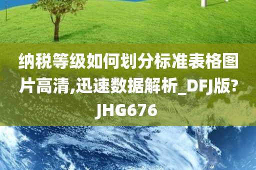 纳税等级如何划分标准表格图片高清,迅速数据解析_DFJ版?JHG676