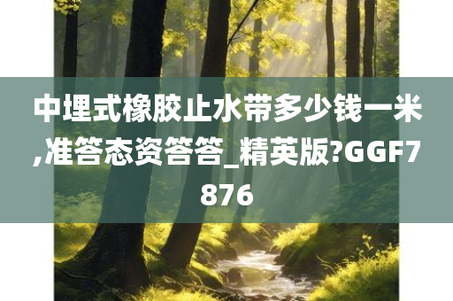 中埋式橡胶止水带多少钱一米,准答态资答答_精英版?GGF7876