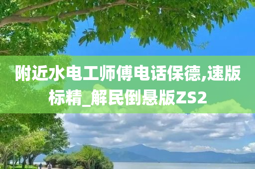 附近水电工师傅电话保德,速版标精_解民倒悬版ZS2