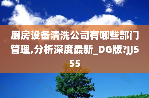 厨房设备清洗公司有哪些部门管理,分析深度最新_DG版?JJ555