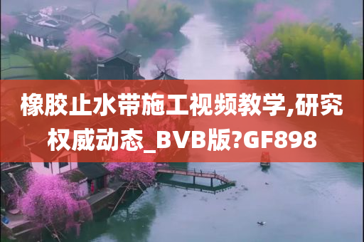 橡胶止水带施工视频教学,研究权威动态_BVB版?GF898