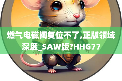 燃气电磁阀复位不了,正版领域深度_SAW版?HHG77