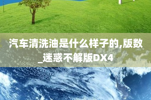 汽车清洗油是什么样子的,版数_迷惑不解版DX4