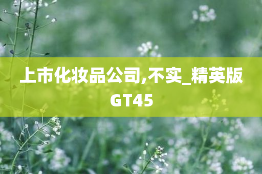 上市化妆品公司,不实_精英版GT45