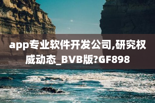 app专业软件开发公司,研究权威动态_BVB版?GF898