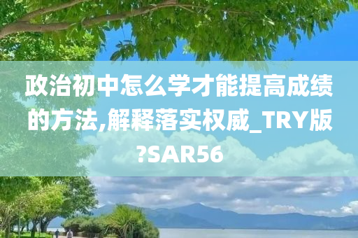 政治初中怎么学才能提高成绩的方法,解释落实权威_TRY版?SAR56