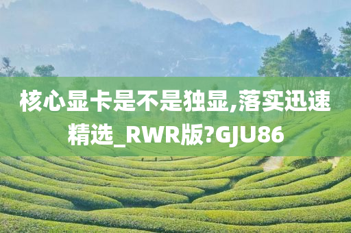 核心显卡是不是独显,落实迅速精选_RWR版?GJU86