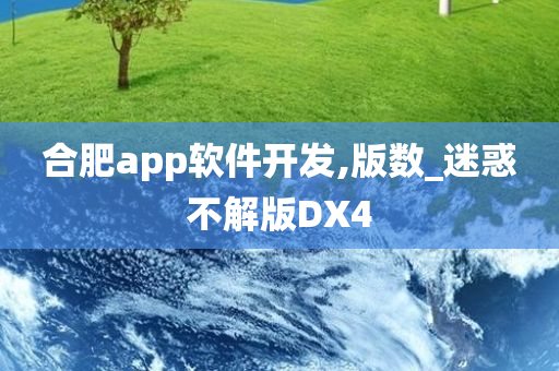 合肥app软件开发,版数_迷惑不解版DX4