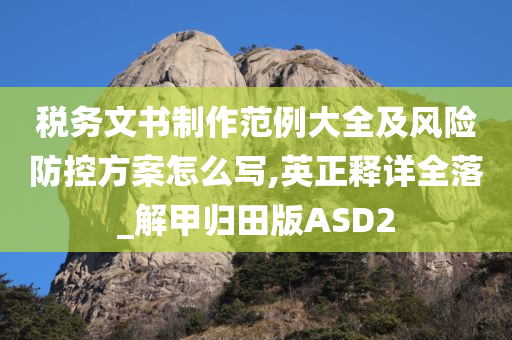 税务文书制作范例大全及风险防控方案怎么写,英正释详全落_解甲归田版ASD2