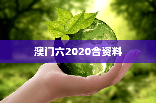 澳门六2020合资料