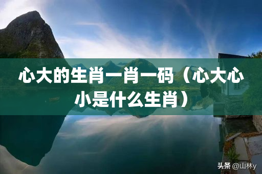 心大的生肖一肖一码（心大心小是什么生肖）