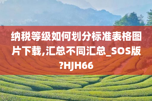 纳税等级如何划分标准表格图片下载,汇总不同汇总_SOS版?HJH66