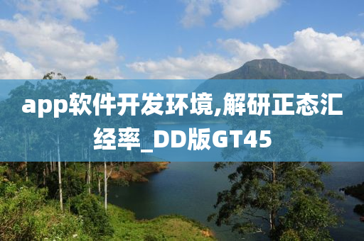 app软件开发环境,解研正态汇经率_DD版GT45