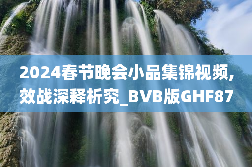 2024春节晚会小品集锦视频,效战深释析究_BVB版GHF87