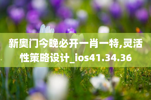 新奥门今晚必开一肖一特,灵活性策略设计_ios41.34.36