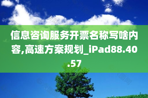 信息咨询服务开票名称写啥内容,高速方案规划_iPad88.40.57