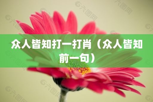 众人皆知打一打肖（众人皆知前一句）