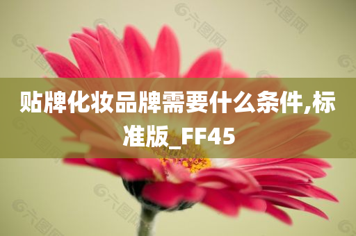 贴牌化妆品牌需要什么条件,标准版_FF45